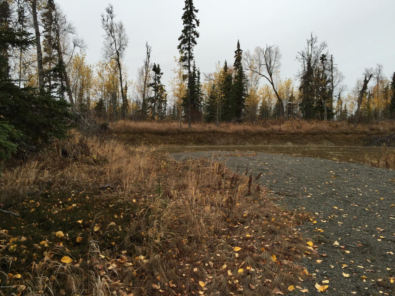 63885 Tailwind Rd, Ninilchik, AK 99639